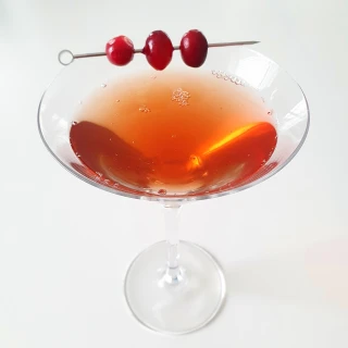 Cranberry Martini