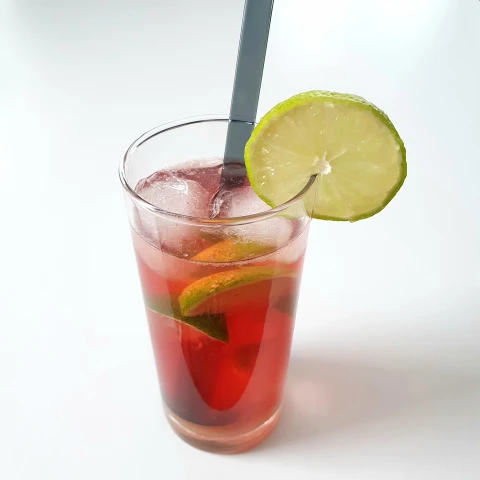 Cranberry Mojito