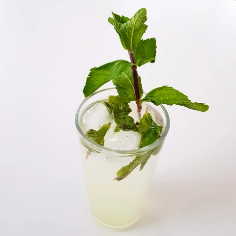 Italian Mojito