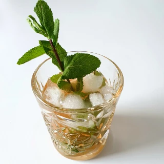 Rocket Mojito